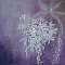 Blumenelfe l auf Leinw. 80x100cm
