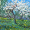 Apfelblte l auf Leinw. 40x50cm