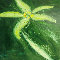 Abendstern l auf Holz 130x60cm