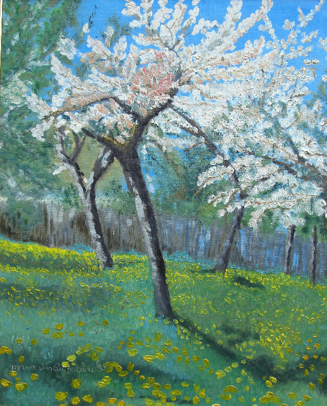 Apfelblte l auf Leinw. 40x50cm