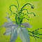 Erwachen l auf Leinw. 80x100cm