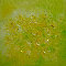 Lichtblume-II l auf Leinw. 100x100cm