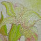 Sonnenlilie l auf Leinw. 100x100cm