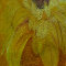 Sonnenblumen-Geflimmer l auf Leinw. 80x120cm