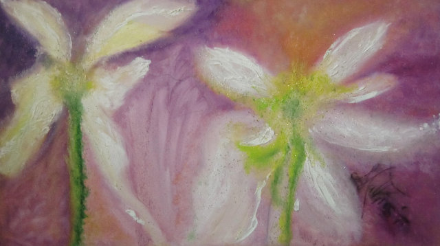 Sympathie l auf Leinw. 70x120cm